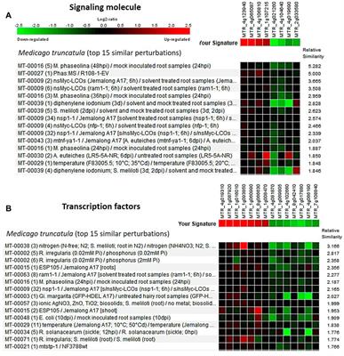 Comparative transcriptome analysis, unfolding the pathways regulating the seed-size trait in cultivated lentil (Lens culinaris Medik.)